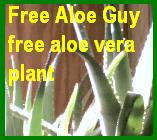 FREE ALOE PLANT